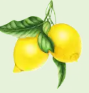 Citrusy
